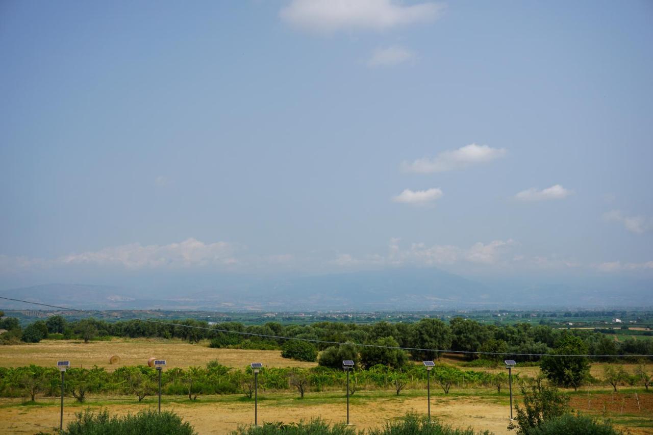 Agriturismo Casacchella Marina di Sibari Ngoại thất bức ảnh
