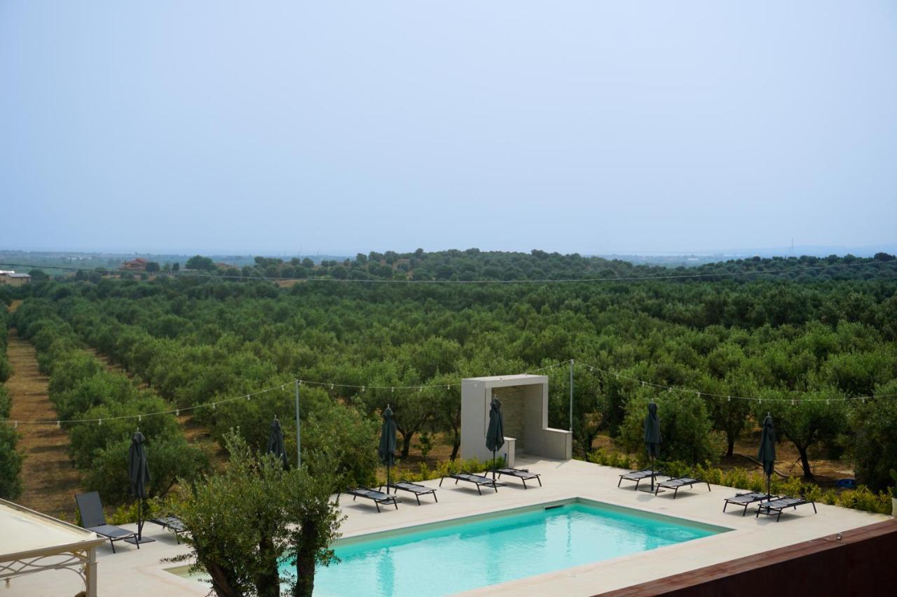 Agriturismo Casacchella Marina di Sibari Ngoại thất bức ảnh