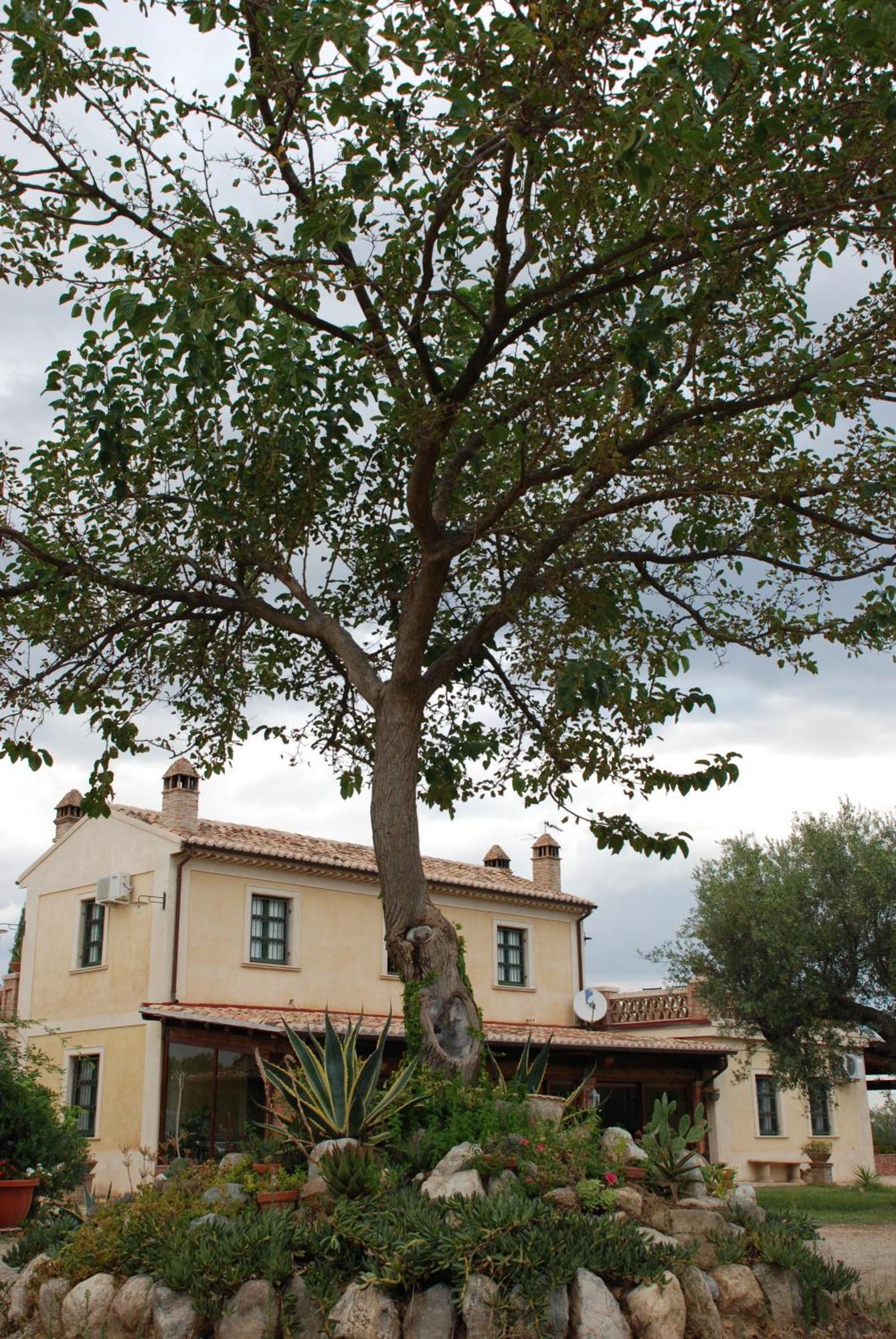 Agriturismo Casacchella Marina di Sibari Phòng bức ảnh