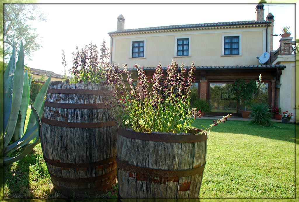 Agriturismo Casacchella Marina di Sibari Ngoại thất bức ảnh